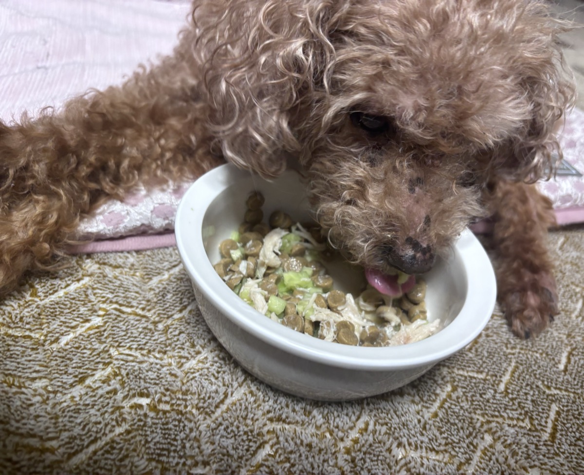 舌が出てしまうほどの勢いで