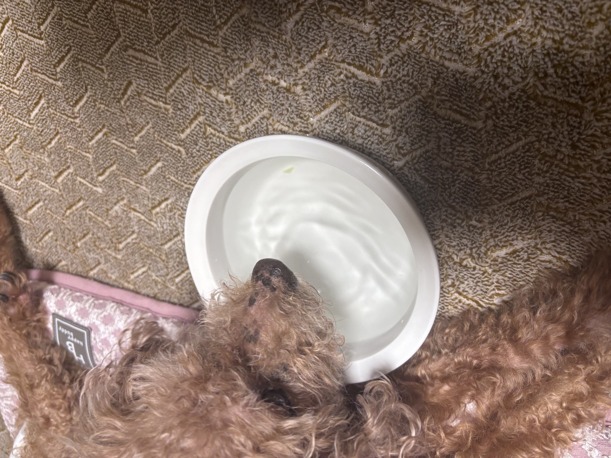 食べたあとは、ちゃんとお水も