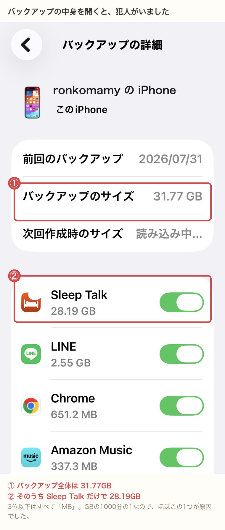 バックアップの詳細画面。Sleep Talkが28.19GBを占めている