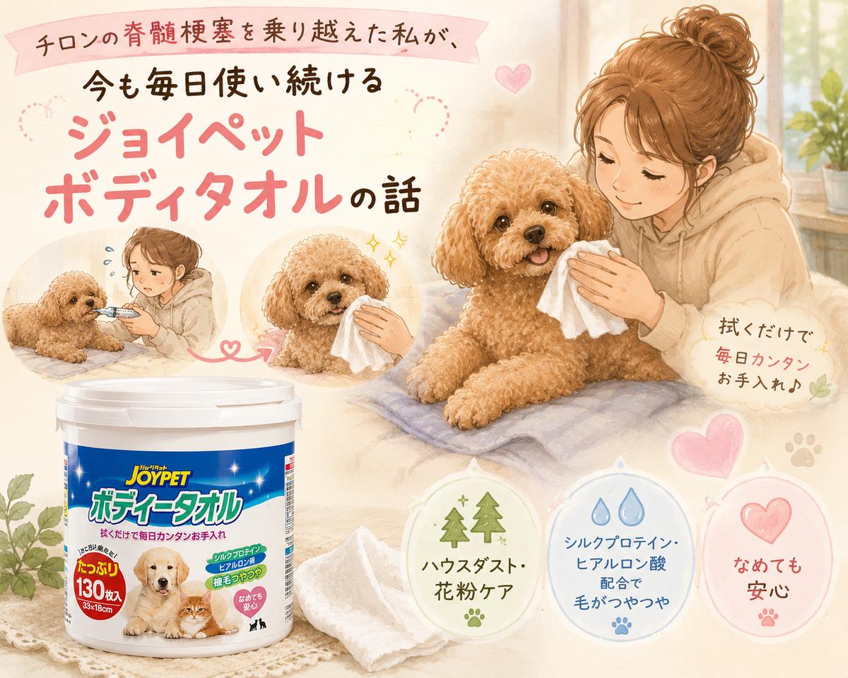 ジョイペットボディタオルで老犬の体を拭いている水彩イラスト