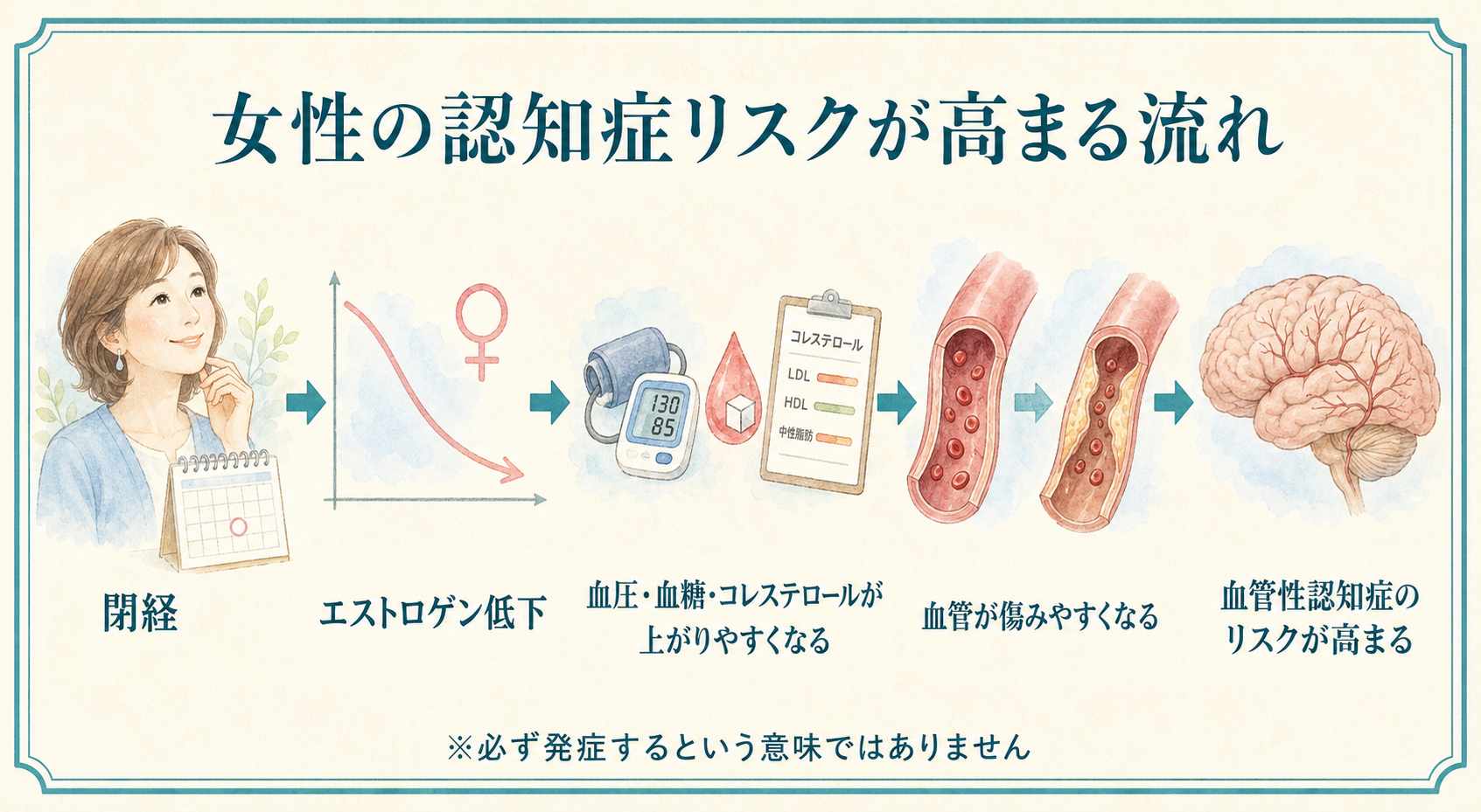 女性の認知症リスクが高まる流れ:閉経からエストロゲン低下、血圧・血糖・コレステロール上昇、血管が傷み、血管性認知症リスクが高まるまでの図解