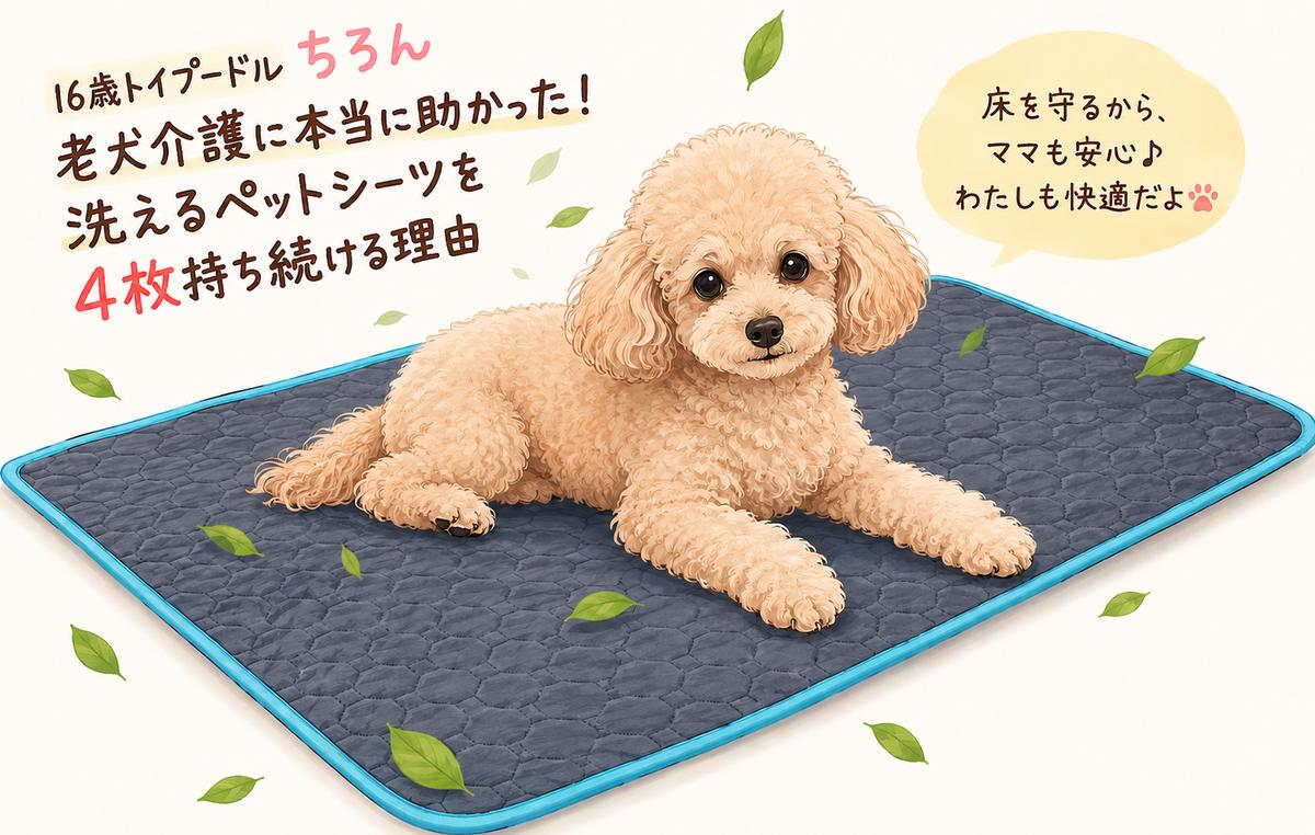 洗えるペットシーツの上にいる老犬トイプードルのイラスト